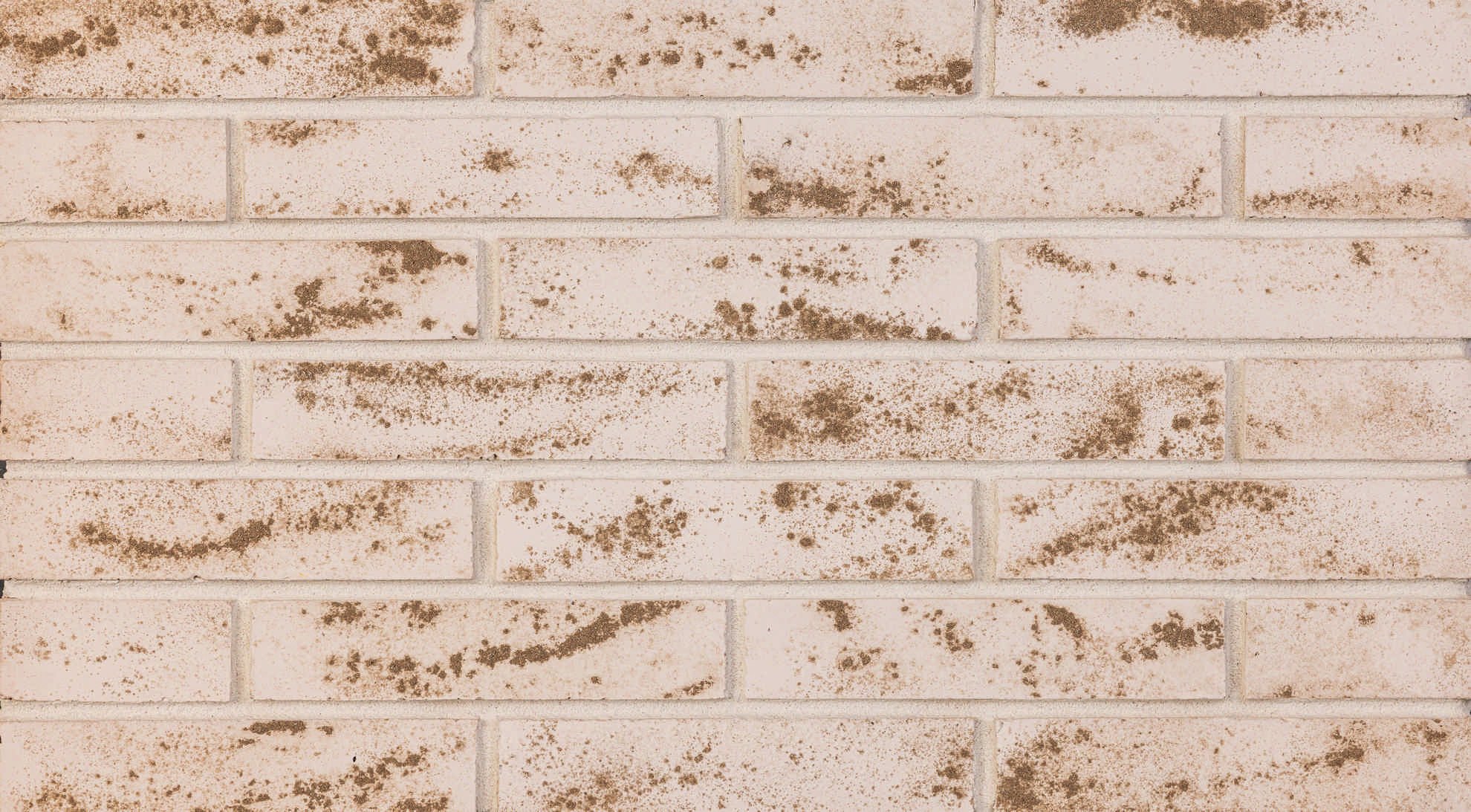 Smooth Seljuk Brick Slip — Harput
